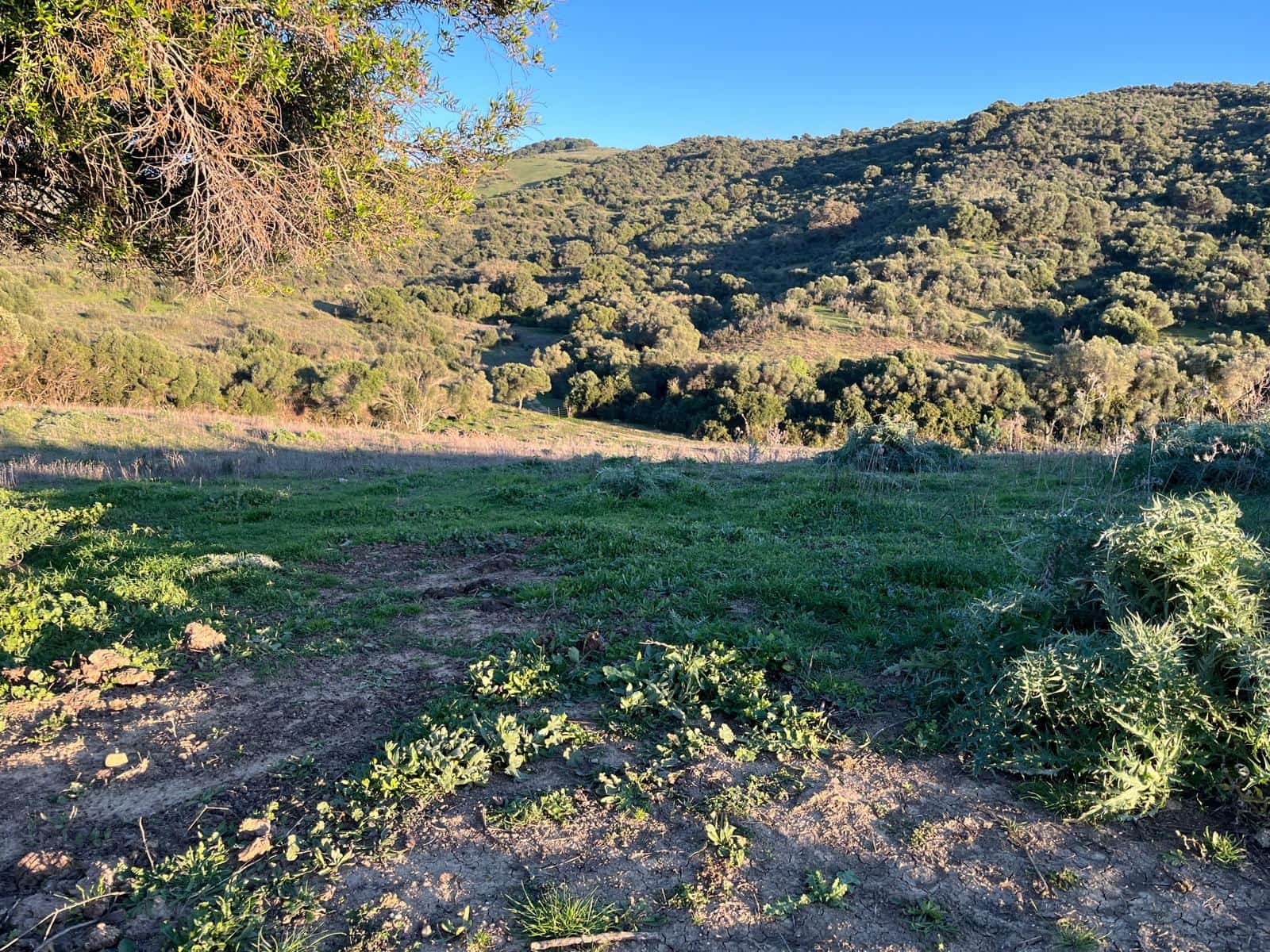 Byggegrund til salg i Gaucin - € 180.000 (Ref: 8751770)