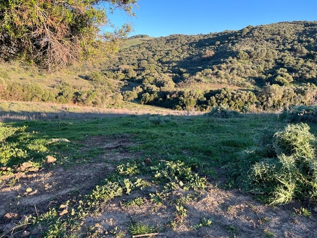 Tontti myytävänä paikassa Gaucín - 180 000 € (Ref: 8751770)