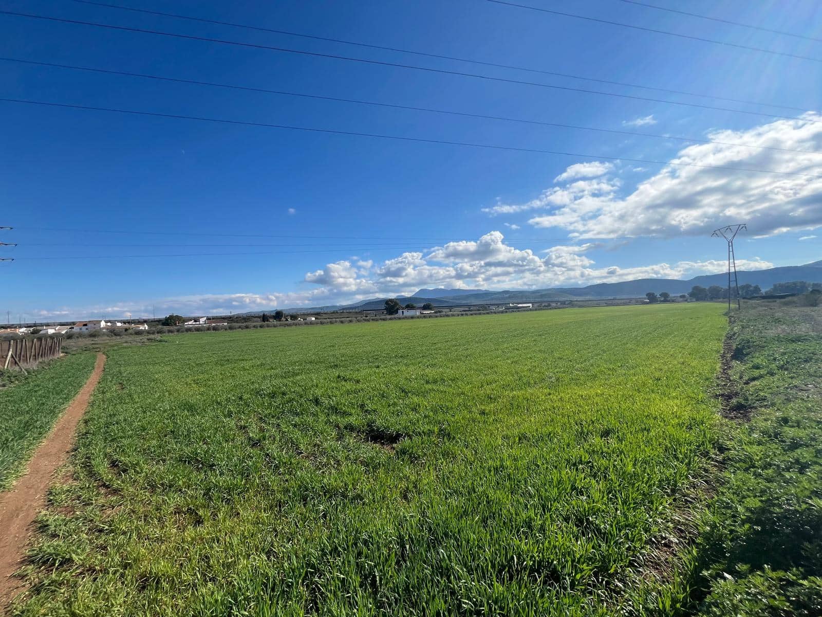 6 soveværelse Finca/Landehus til salg i Antequera - € 430.000 (Ref: 8787226)