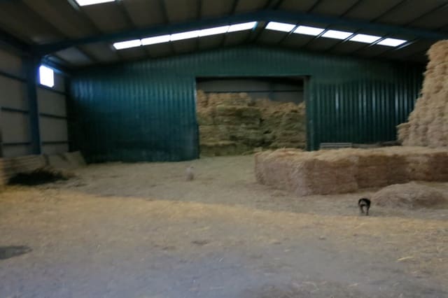 5 camera da letto Finca/Casa di Campagna in vendita in Almogía - 1.800.000 € (Rif: 8803281)