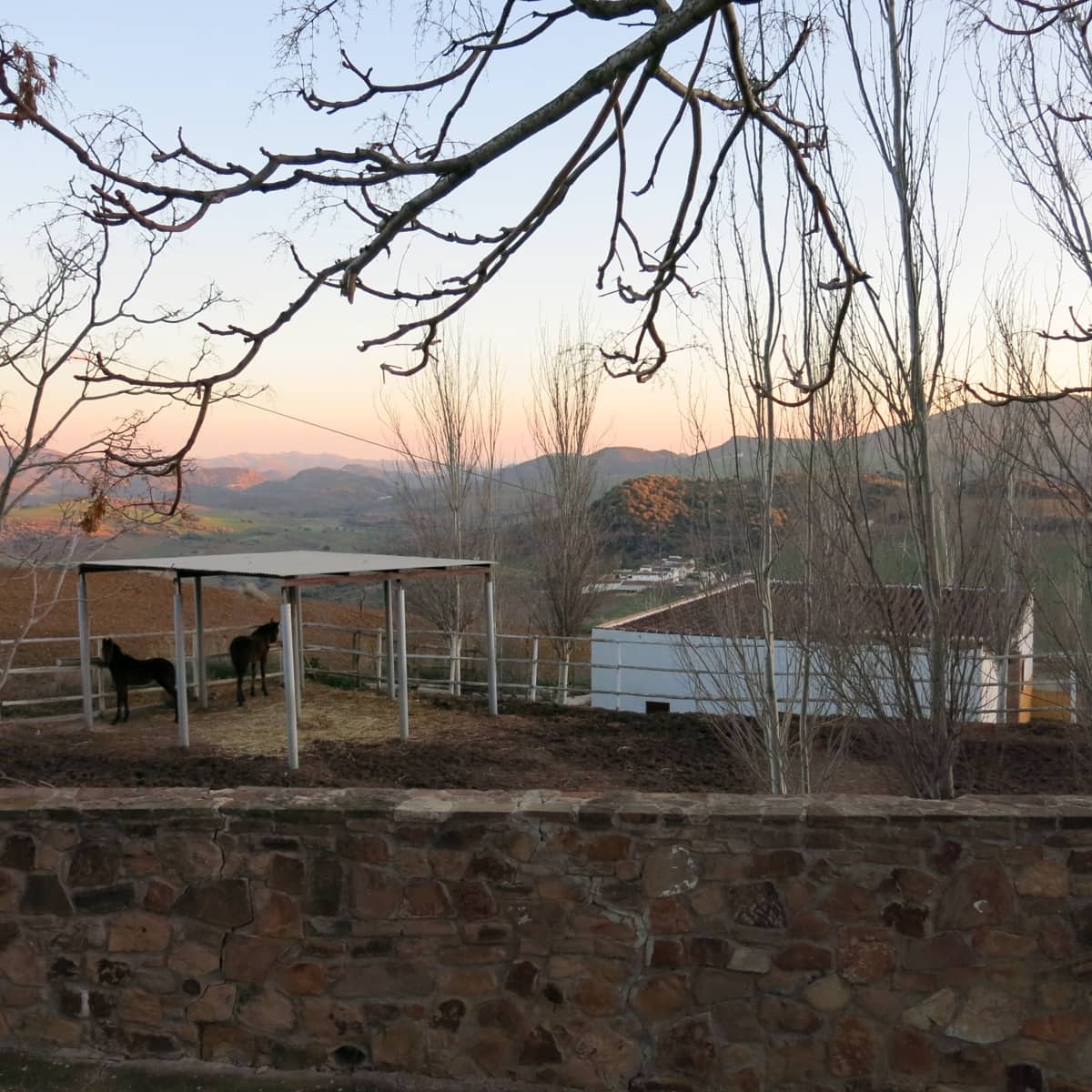 5 camera da letto Finca/Casa di Campagna in vendita in Almogia - 1.800.000 € (Rif: 8803281)