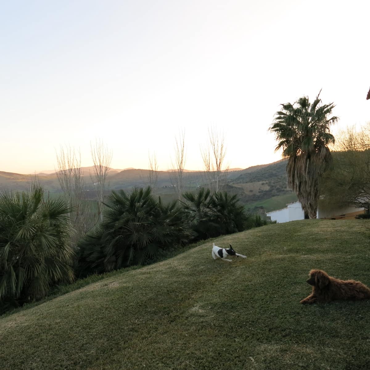 5 camera da letto Finca/Casa di Campagna in vendita in Almogia - 1.800.000 € (Rif: 8803281)