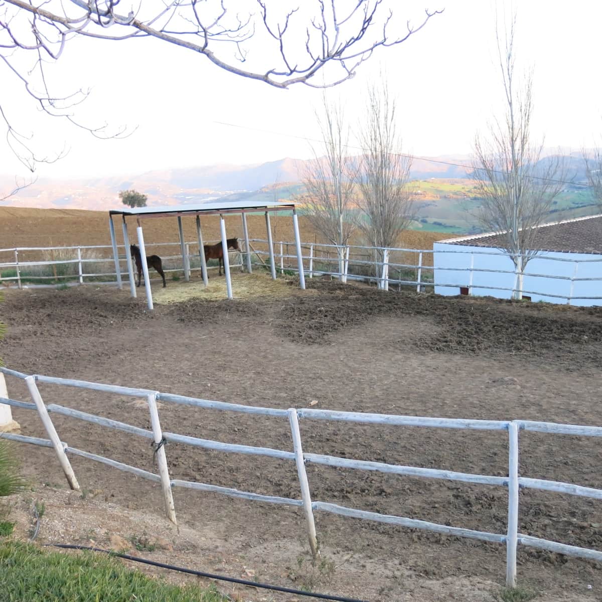 5 camera da letto Finca/Casa di Campagna in vendita in Almogia - 1.800.000 € (Rif: 8803281)