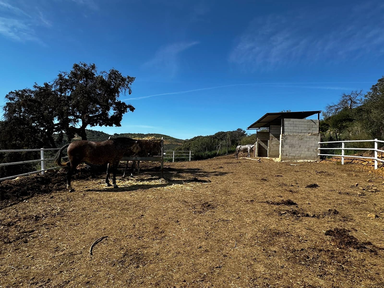 5 camera da letto Finca/Casa di Campagna in vendita in Almogia - 1.800.000 € (Rif: 8803281)