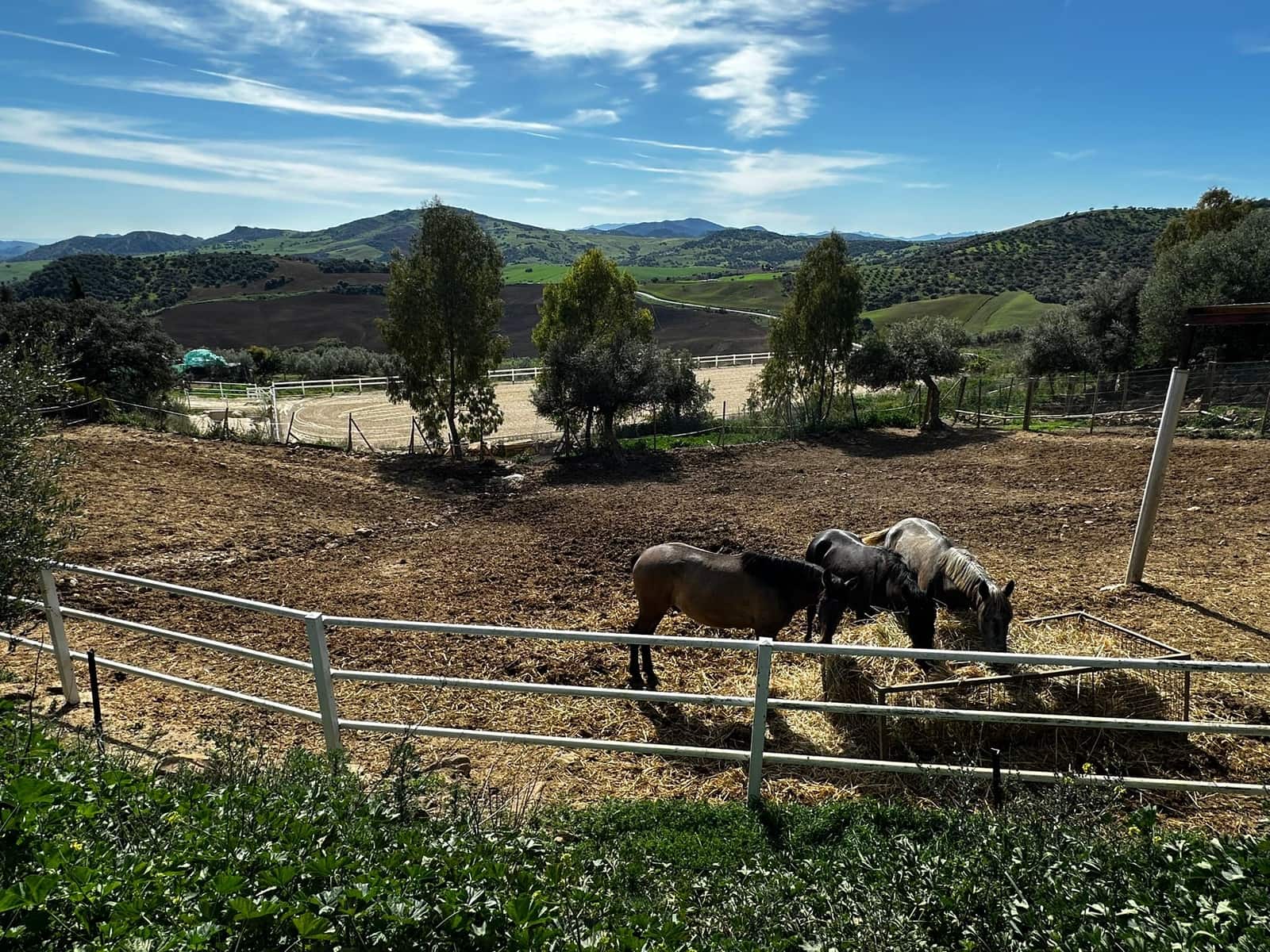 5 camera da letto Finca/Casa di Campagna in vendita in Almogia - 1.800.000 € (Rif: 8803281)