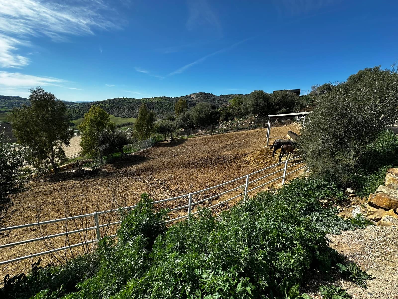 5 camera da letto Finca/Casa di Campagna in vendita in Almogia - 1.800.000 € (Rif: 8803281)