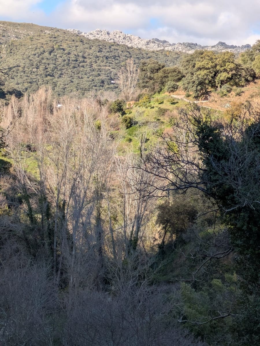 Grunde uden byggetilladelser til salg i Juzcar - € 55.000 (Ref: 8814761)