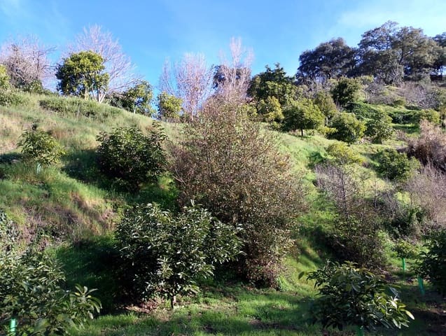 Undeveloped Land for sale in Júzcar - € 55,000 (Ref: 8814761)