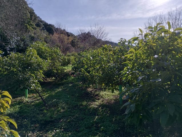 Undeveloped Land for sale in Júzcar - € 55,000 (Ref: 8814761)