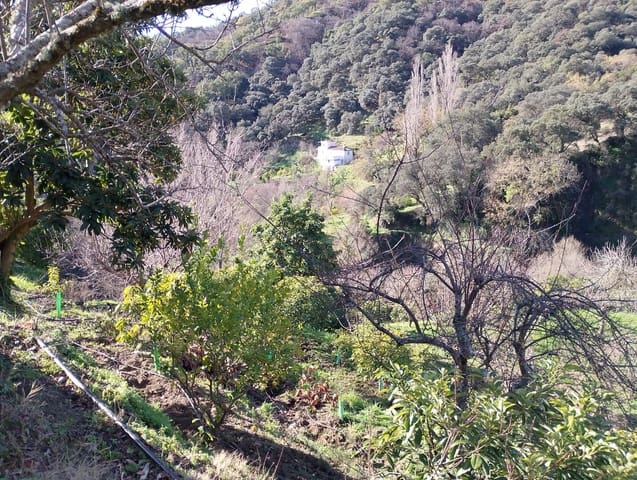 Undeveloped Land for sale in Júzcar - € 55,000 (Ref: 8814761)