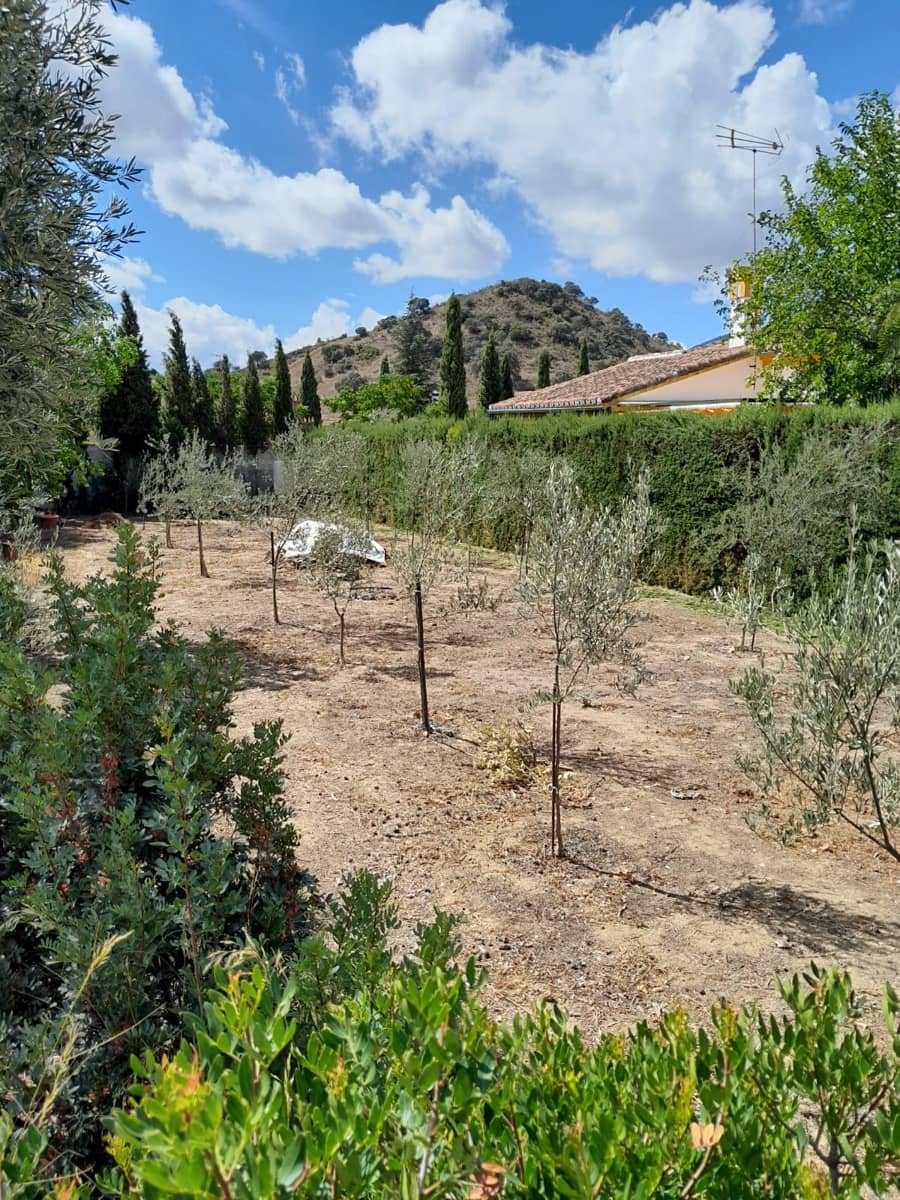 4 soveværelse Finca/Landehus til salg i Cadiz by med swimmingpool - € 480.000 (Ref: 8867685)