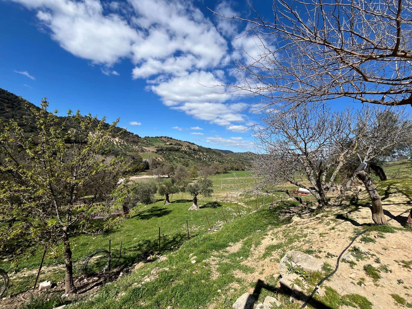 3 soveværelse Finca/Landehus til salg i Ronda - € 390.000 (Ref: 8880336)