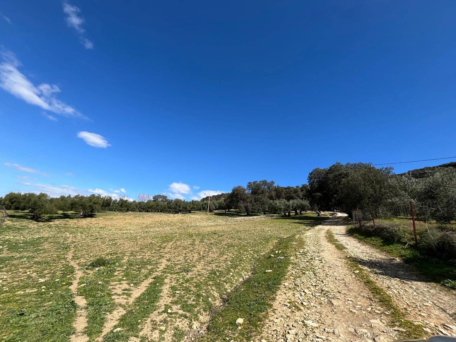 3 soveværelse Finca/Landehus til salg i Ronda - € 390.000 (Ref: 8880336)