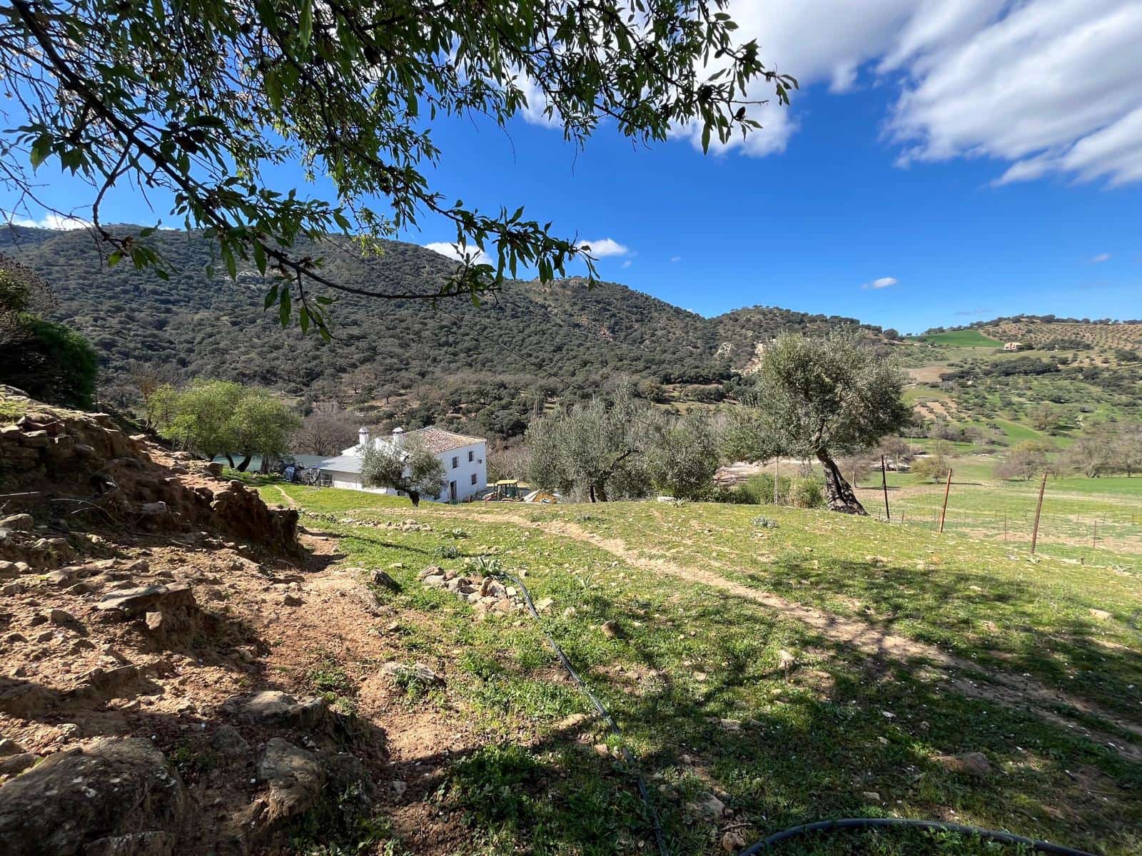 3 soveværelse Finca/Landehus til salg i Ronda - € 390.000 (Ref: 8880336)