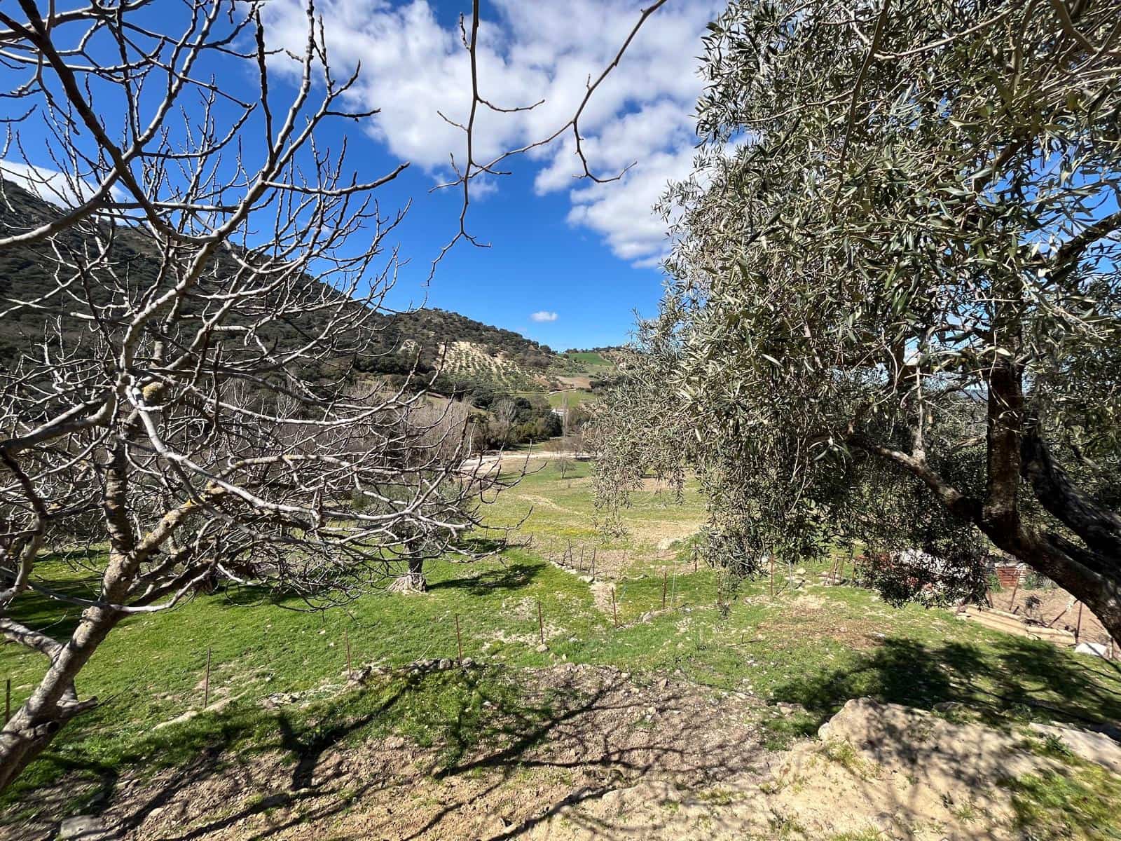 3 soveværelse Finca/Landehus til salg i Ronda - € 390.000 (Ref: 8880336)