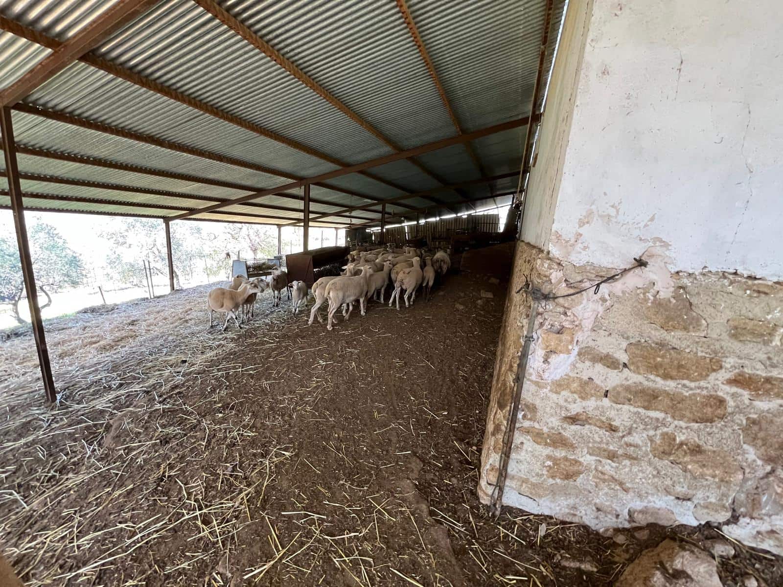 3 soveværelse Finca/Landehus til salg i Ronda - € 390.000 (Ref: 8880336)