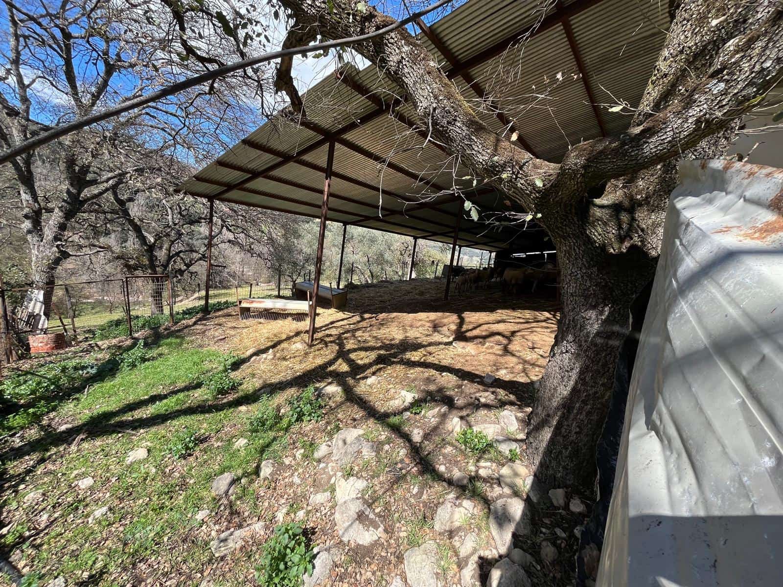 3 soveværelse Finca/Landehus til salg i Ronda - € 390.000 (Ref: 8880336)