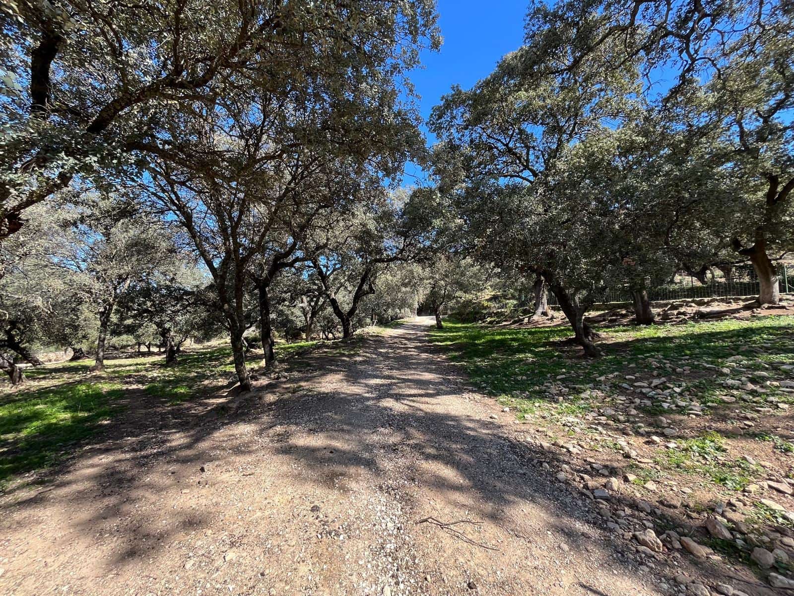 3 soveværelse Finca/Landehus til salg i Ronda - € 390.000 (Ref: 8880336)