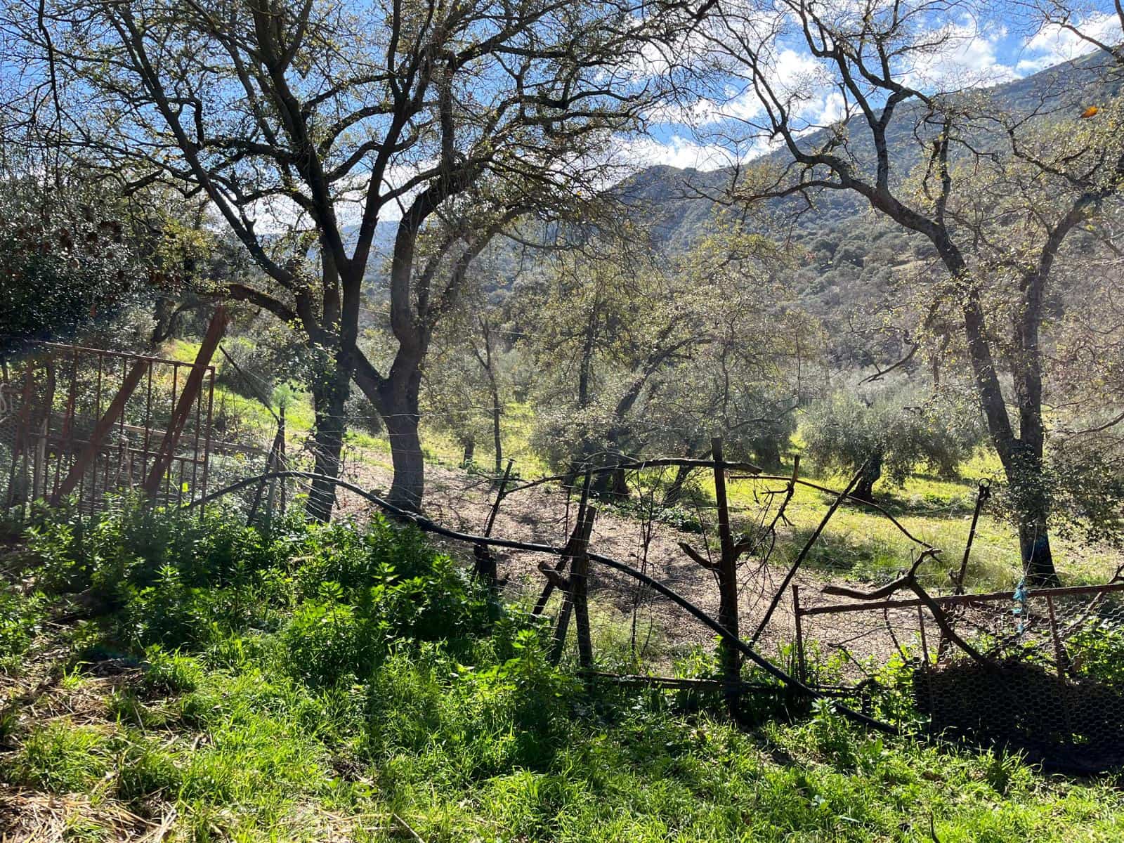 3 soveværelse Finca/Landehus til salg i Ronda - € 390.000 (Ref: 8880336)