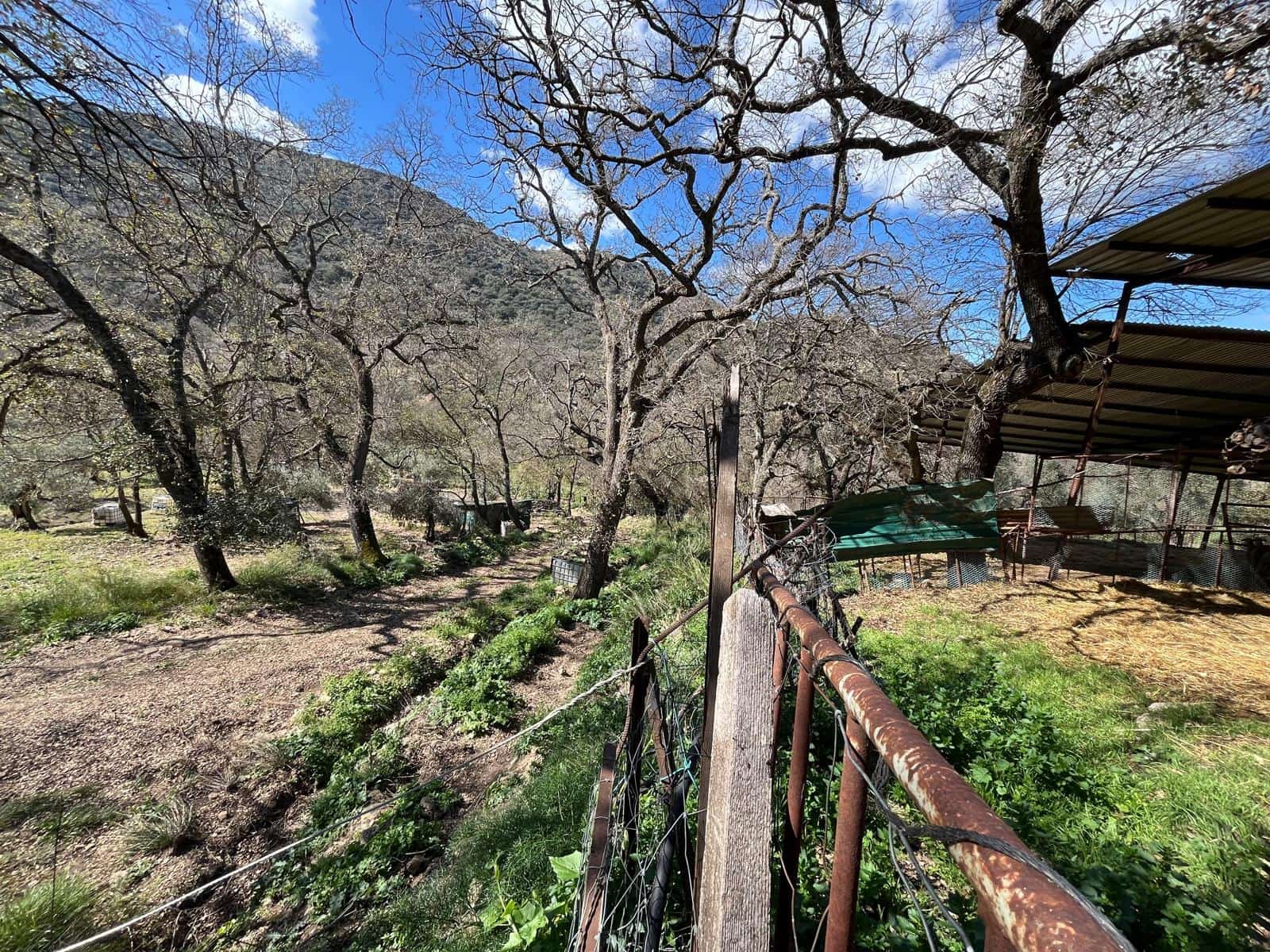 3 soveværelse Finca/Landehus til salg i Ronda - € 390.000 (Ref: 8880336)