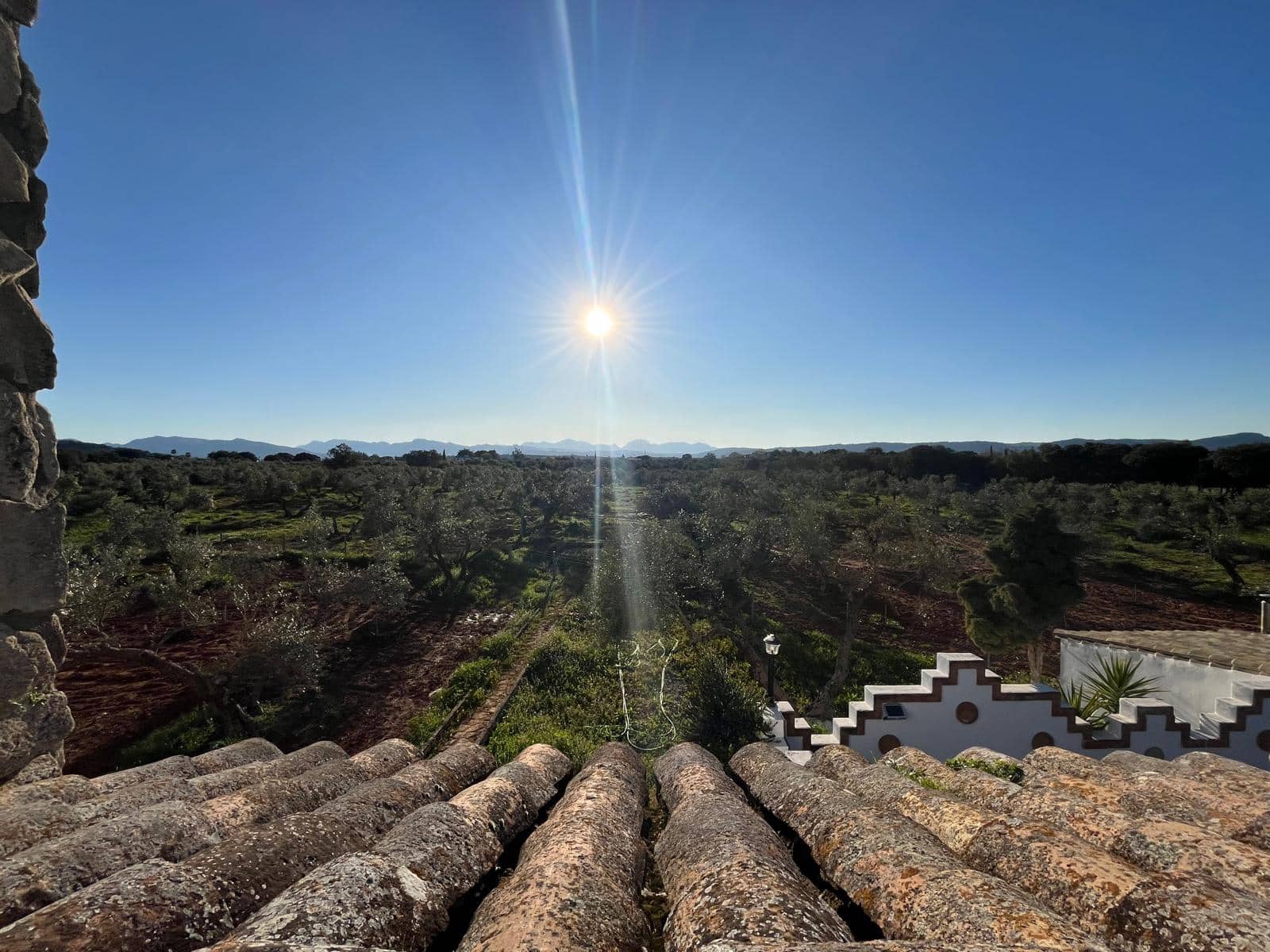 Grunde uden byggetilladelser til salg i Ronda - € 950.000 (Ref: 8927660)