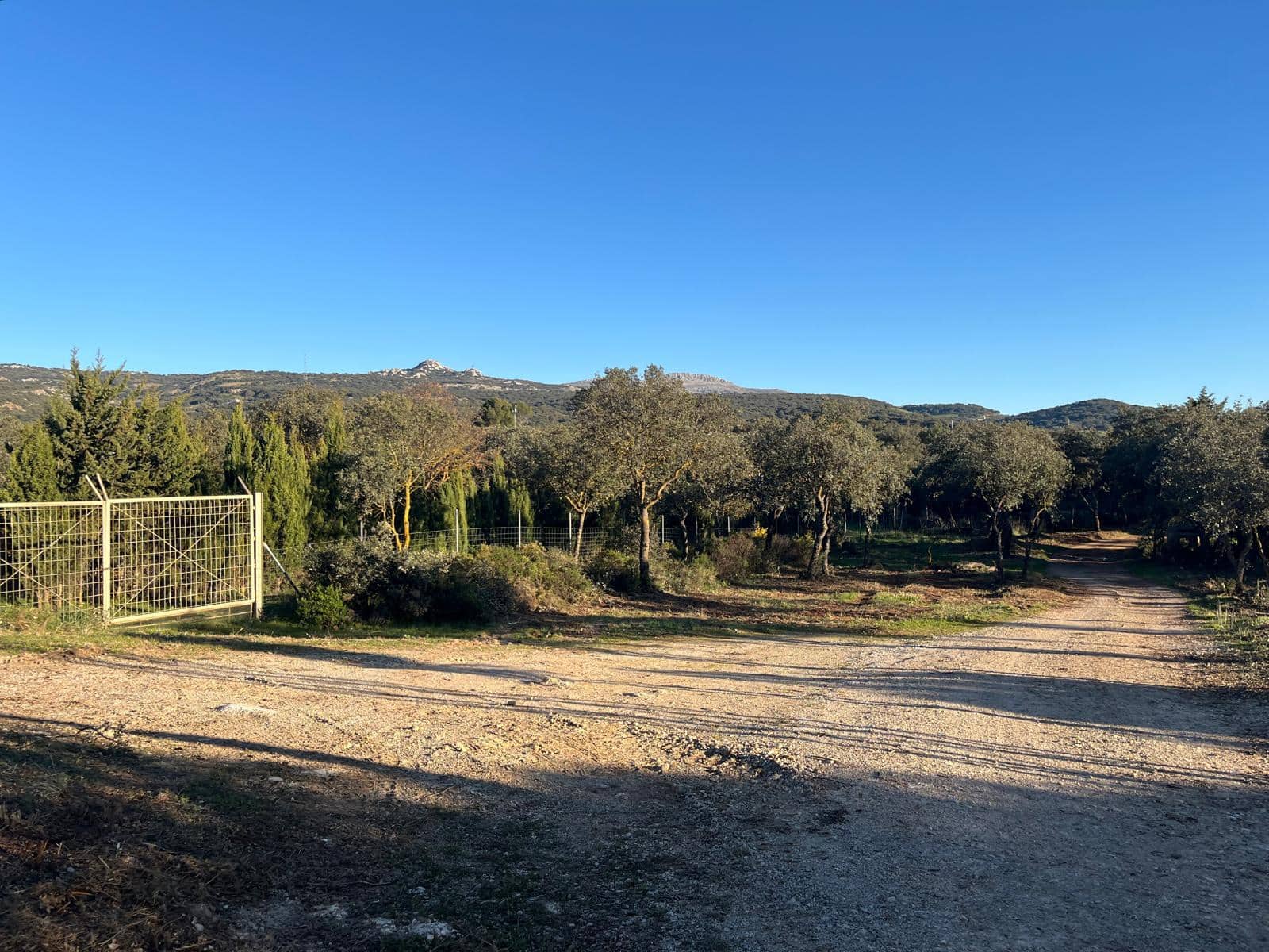 Grunde uden byggetilladelser til salg i Ronda - € 950.000 (Ref: 8927660)