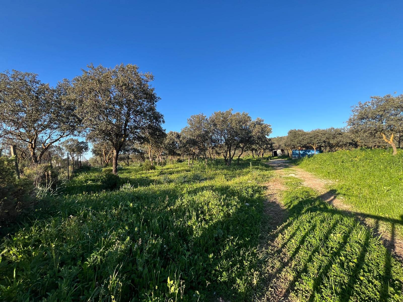 Grunde uden byggetilladelser til salg i Ronda - € 950.000 (Ref: 8927660)