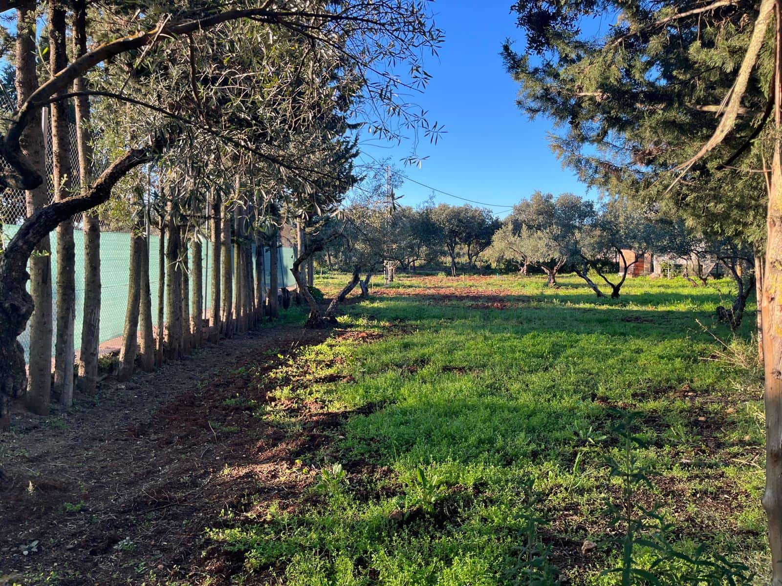 Grunde uden byggetilladelser til salg i Ronda - € 950.000 (Ref: 8927660)