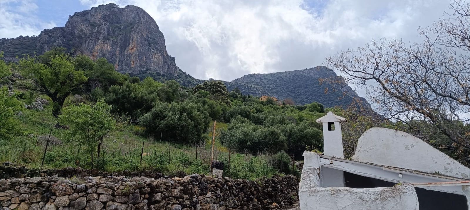 4 soveværelse Finca/Landehus til salg i El Gastor - € 275.000 (Ref: 9126293)