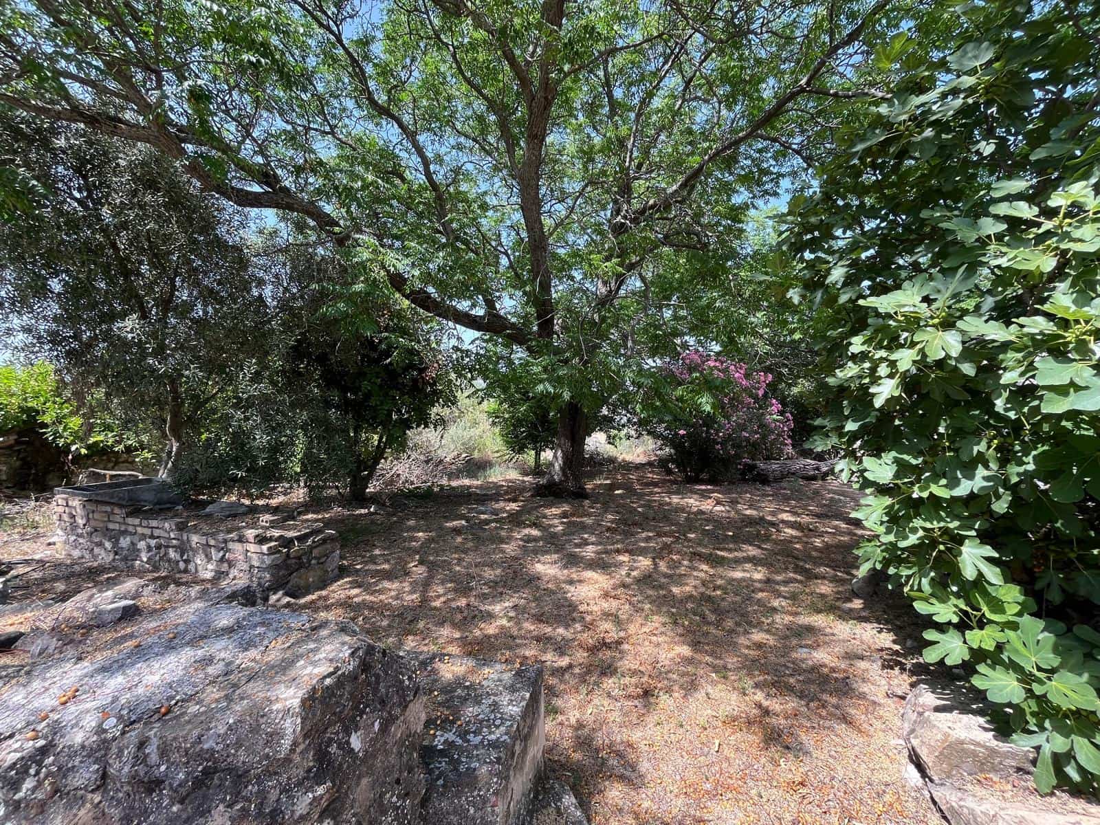 4 soveværelse Finca/Landehus til salg i El Gastor - € 275.000 (Ref: 9126293)