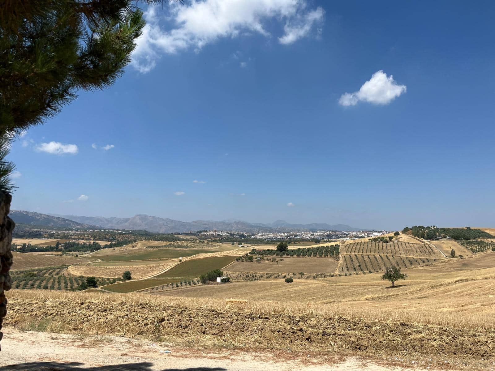 4 quarto Quinta/Casa Rural para arrendar em Ronda com piscina - 1 500 € (Ref: 9127751)