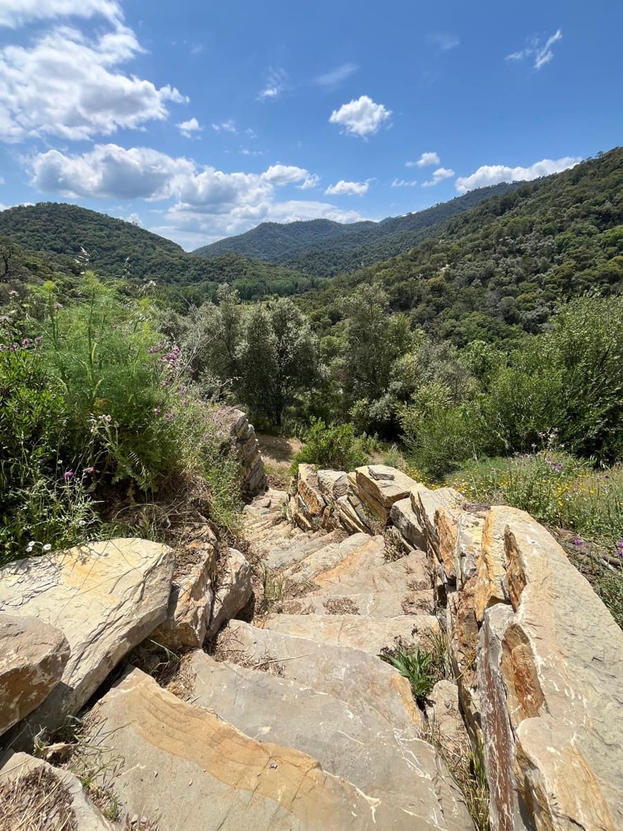 3 slaapkamer Finca/Landhuis te koop in Genalguacil met zwembad - € 490.000 (Ref: 9172295)