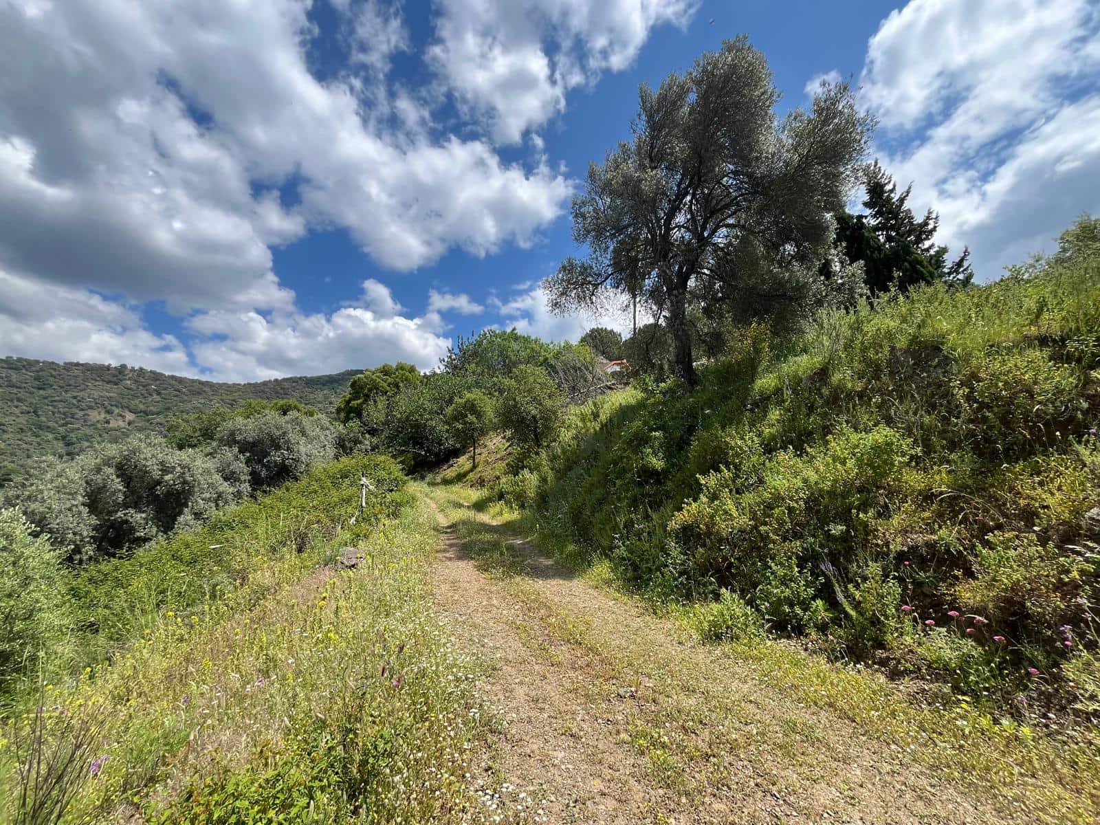 3 slaapkamer Finca/Landhuis te koop in Genalguacil met zwembad - € 490.000 (Ref: 9172295)