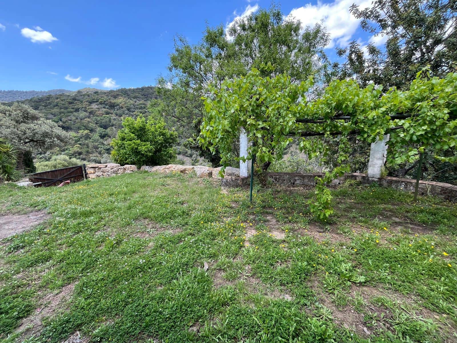 3 slaapkamer Finca/Landhuis te koop in Genalguacil met zwembad - € 490.000 (Ref: 9172295)