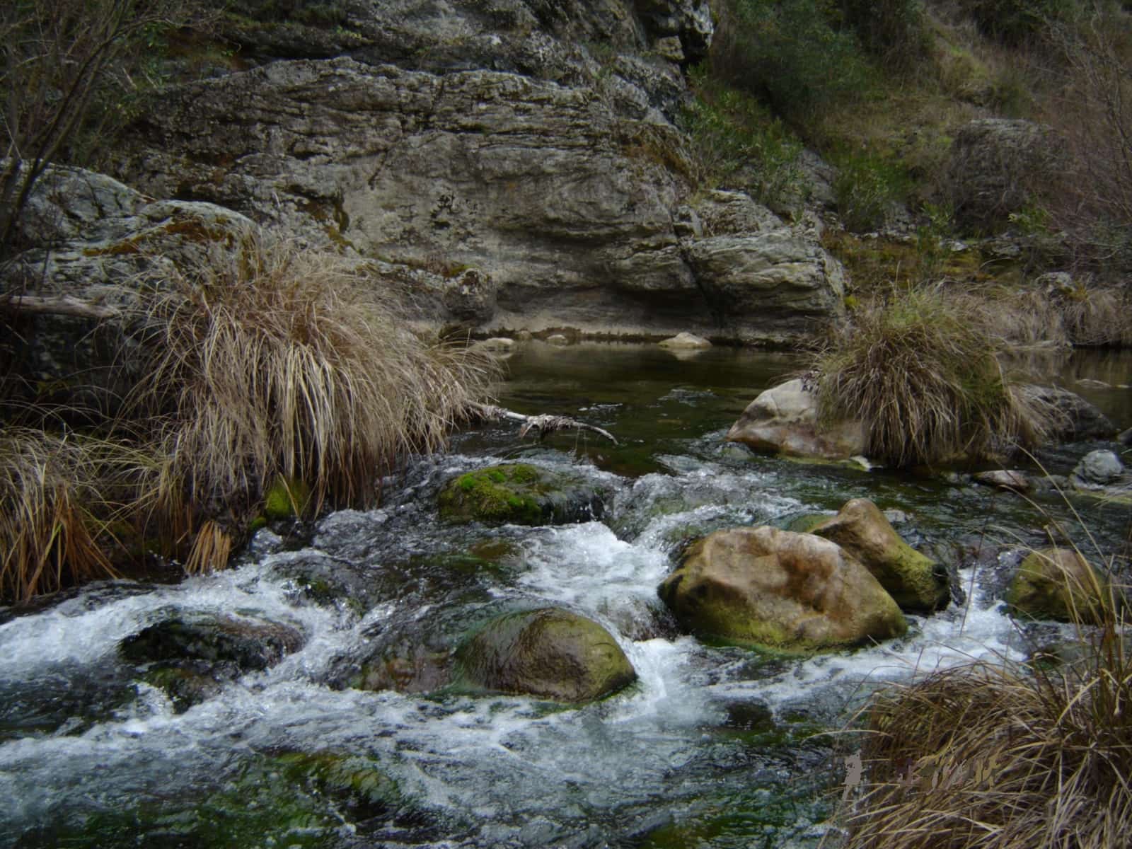 3 soverom Finca/Herregård til salgs i Jubrique - € 550 000 (Ref: 9261906)