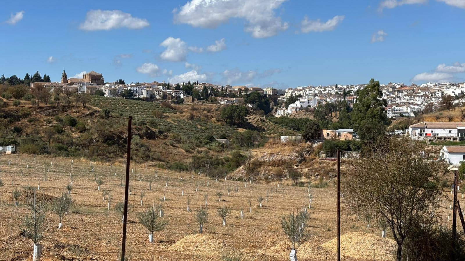 5 sypialnia Finka/Dom wiejski na sprzedaż w Ronda z basenem garażem - 480 000 € (Ref: 9309334)