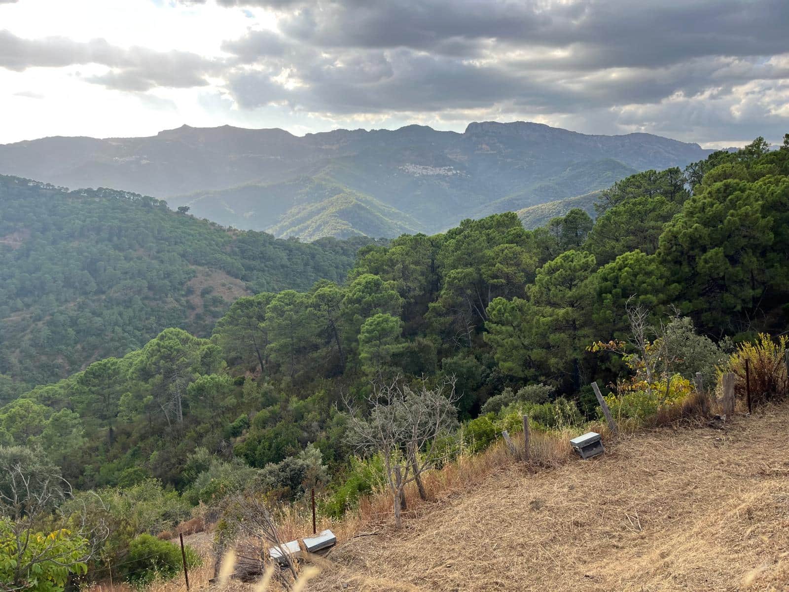 2 soveværelse Finca/Landehus til salg i Jubrique - € 447.000 (Ref: 9311637)