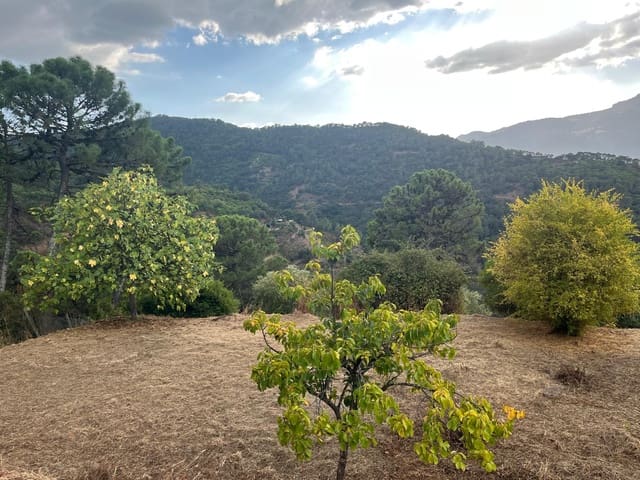 2 Zimmer Finca/Landgut zu verkaufen in Jubrique - 447.000 € (Ref: 9311637)