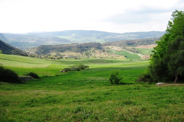 1 bedroom Finca/Country House for sale in Ronda - € 250,000 (Ref: 9330996)