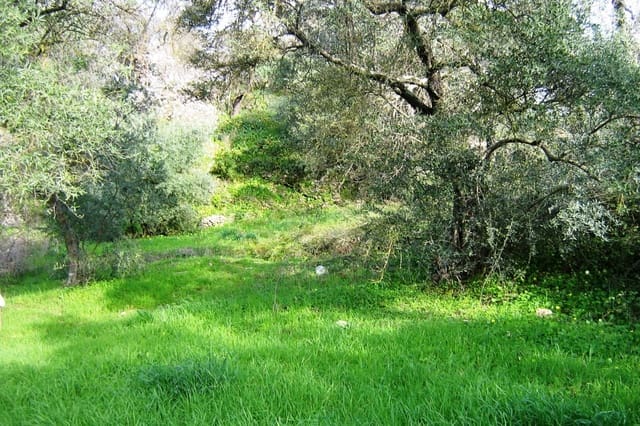 1 bedroom Finca/Country House for sale in Ronda - € 250,000 (Ref: 9330996)