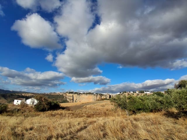 1 bedroom Finca/Country House for sale in Ronda - € 250,000 (Ref: 9330996)