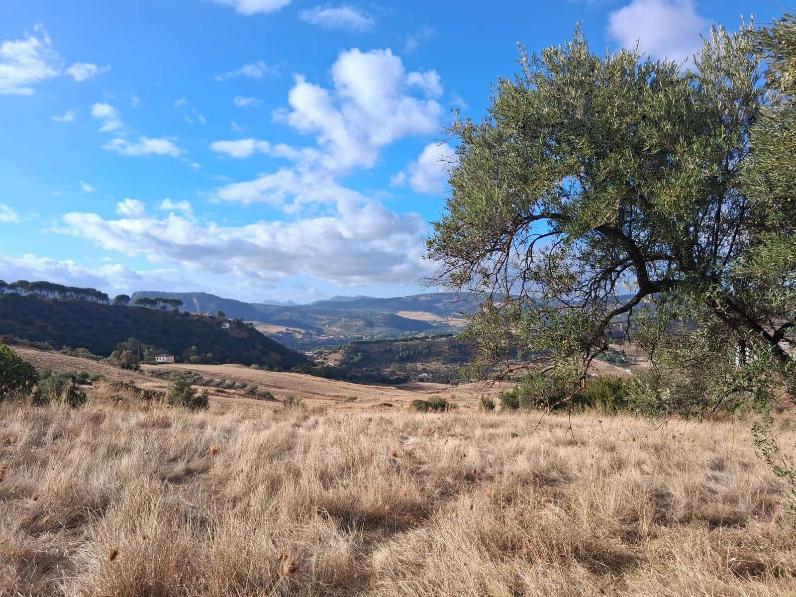 1 soveværelse Finca/Landehus til salg i Ronda - € 250.000 (Ref: 9330996)