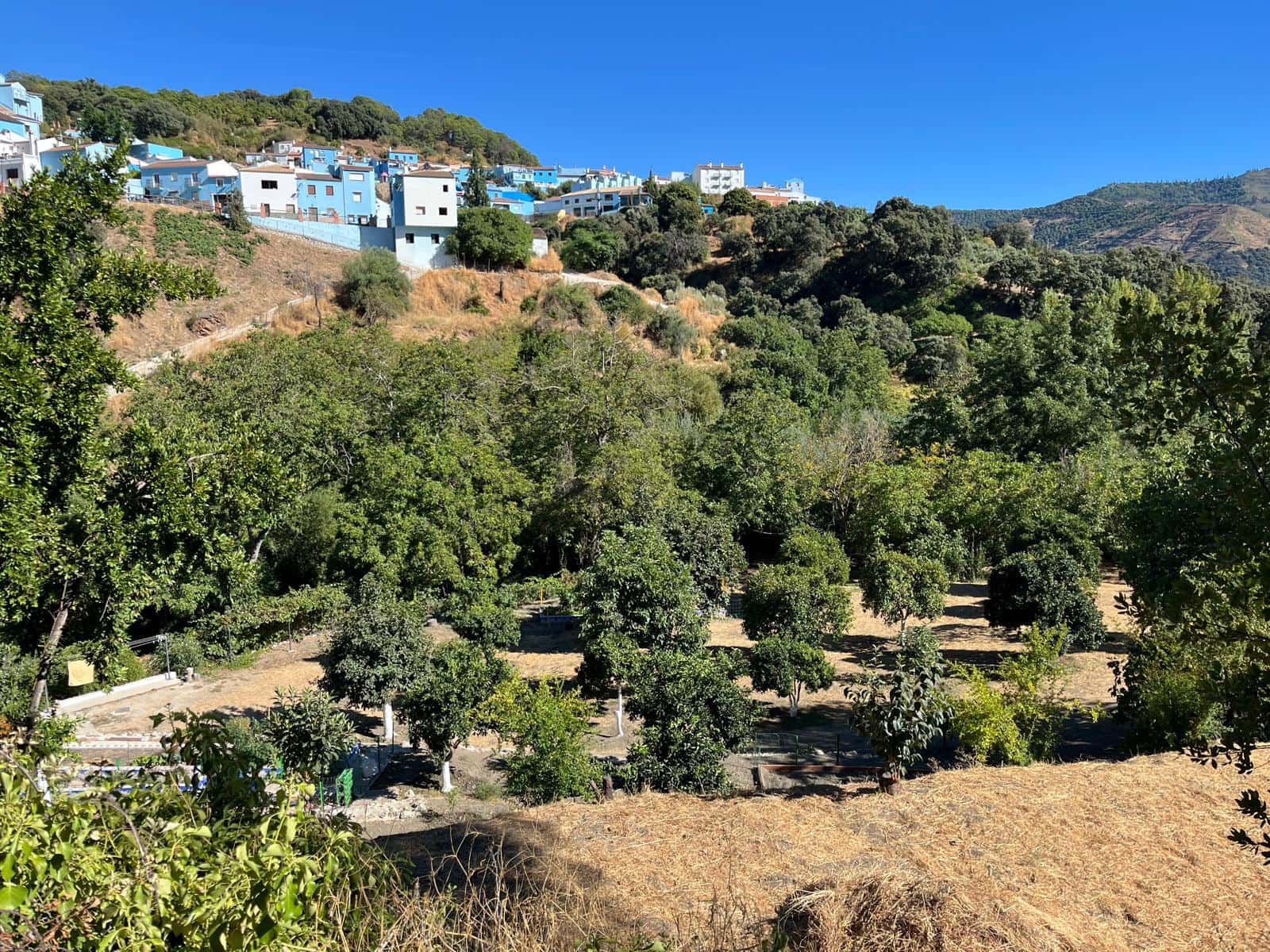 5 soveværelse Finca/Landehus til salg i Juzcar - € 595.000 (Ref: 9369068)