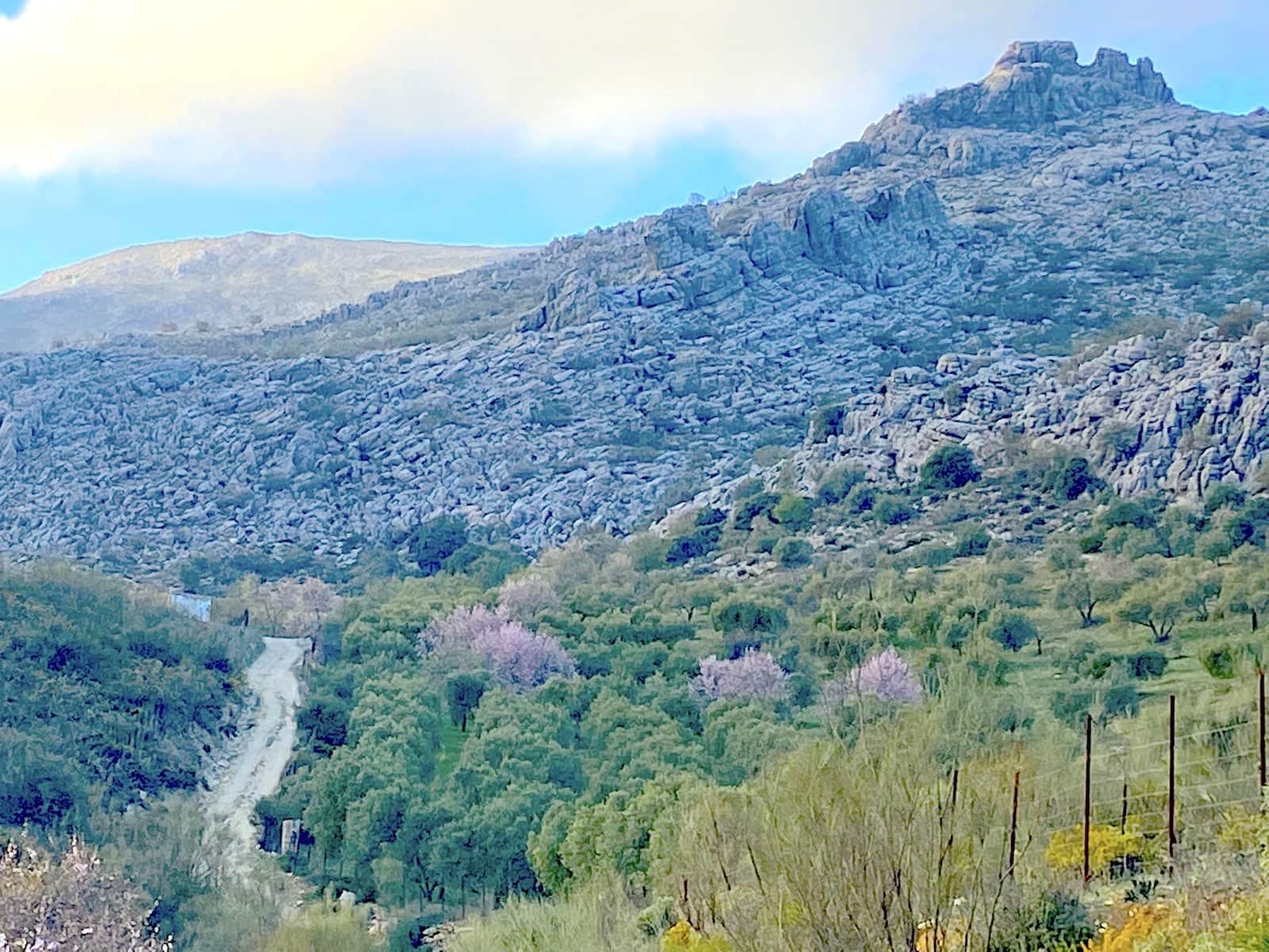 3 sovrum Hus till salu i Juzcar - 100 000 € (Ref: 9404577)