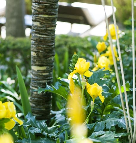 11 sypialnia Hotel na sprzedaż w Ronda z basenem - 3 000 000 € (Ref: 9547350)