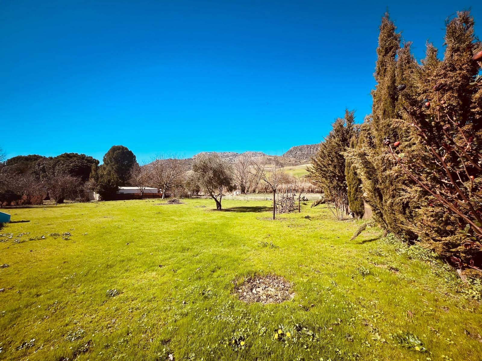 3 bedroom Finca/Country House for sale in Ronda with pool - € 250,000 (Ref: 9614489)