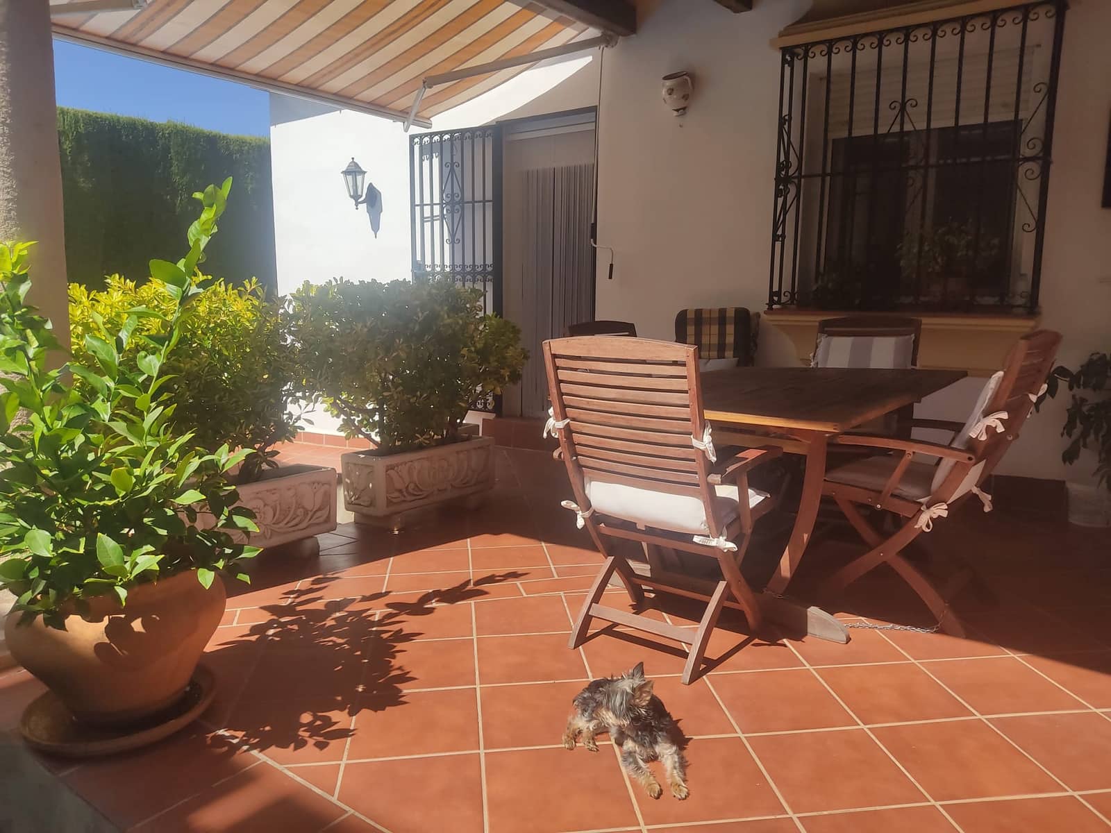 3 makuuhuone Omakotitalo vuokrattavana paikassa Ronda mukana uima-altaan - 2 000 € (Ref: 9645814)