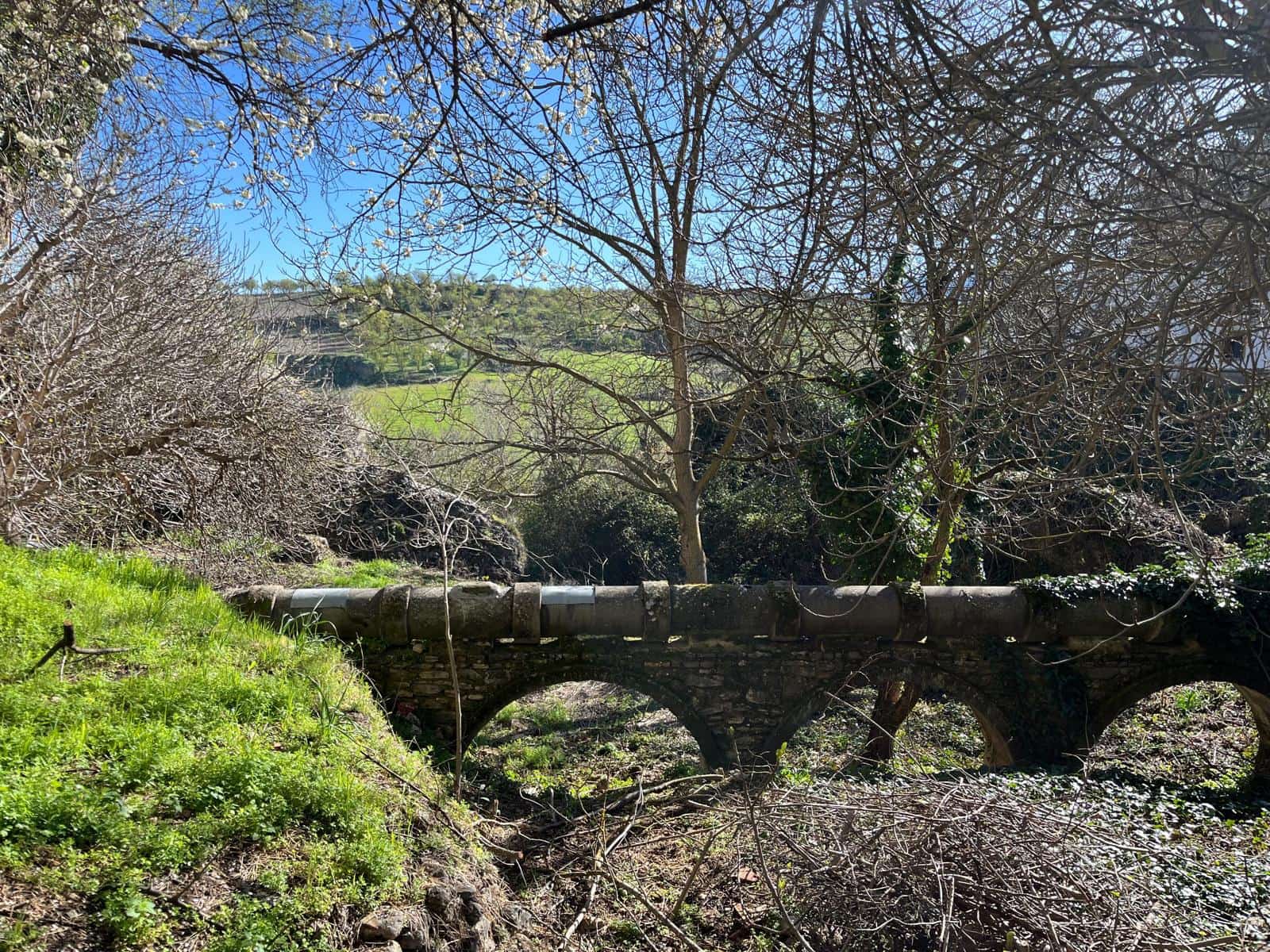 6 bedroom Finca/Country House for sale in Ronda with pool - € 698,000 (Ref: 9676509)