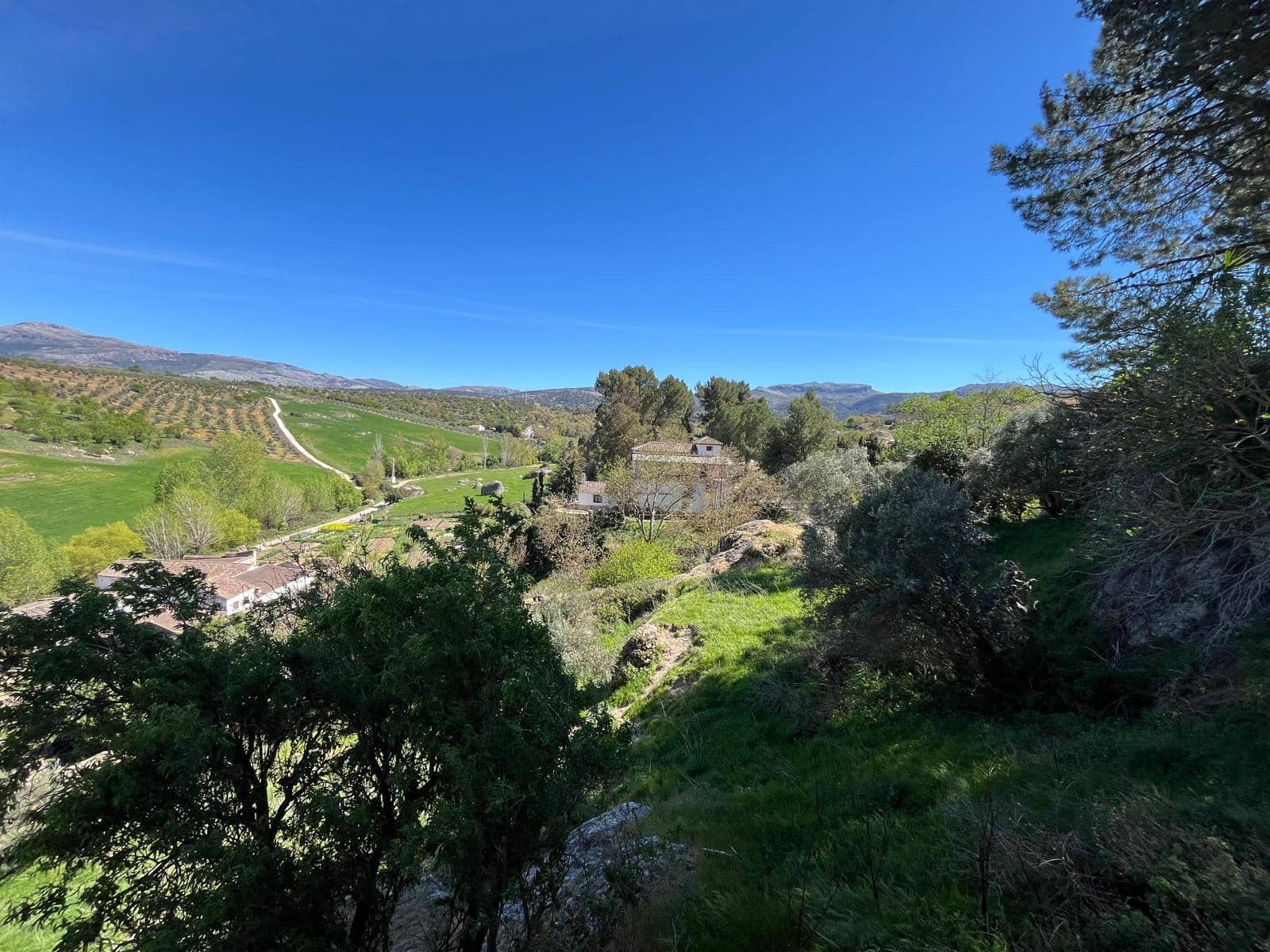 6 quarto Quinta/Casa Rural para venda em Ronda com piscina - 698 000 € (Ref: 9676509)