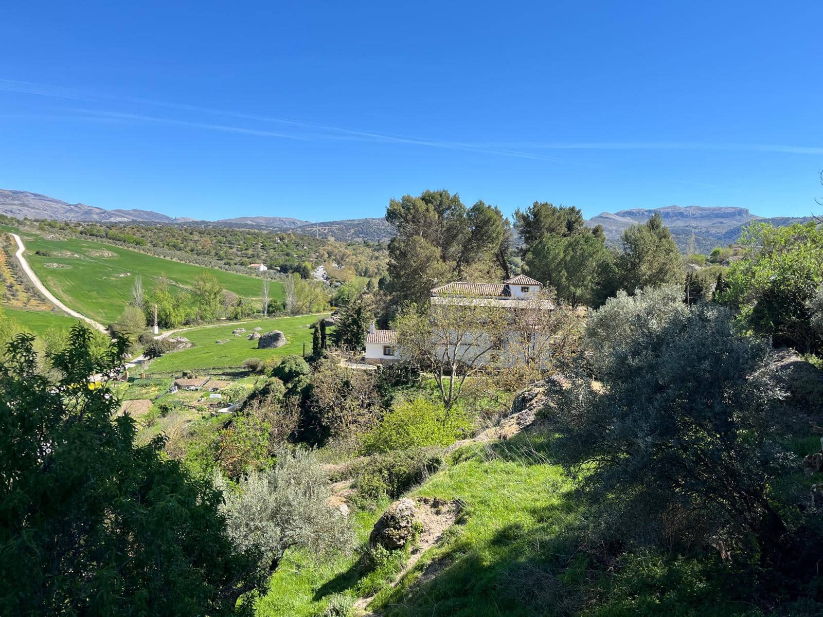 6 quarto Quinta/Casa Rural para venda em Ronda com piscina - 698 000 € (Ref: 9676509)